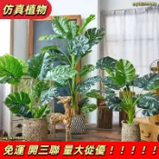 免運 可開發票 北歐假花仿真花擺件客廳裝飾綠植旅人蕉龜背竹室內大型塑料樹盆栽居傢裝飾 仿真植物 人造樹 假樹 假植物 I