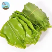 🥬陽台變菜園！山蘇菜種子 可食用野菜 室內耐陰盆栽 種植簡單 觀賞食用兩用 健康養生 家庭種菜