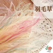 (店+)仙氣 羽毛草 羽毛 極度花燥 花材 配花 永生花 乾燥花 不凋花 滿天星 畢業季 畢業 七夕 情人節