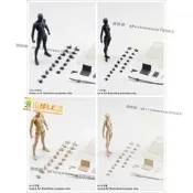 現貨LE購✨S.H.Figuarts SHF  男 女素體 DX 豪華版 膚色  灰色 黑色 橙色 可動