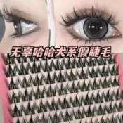 十排大容量犬系假睫毛芭比大眼娃娃感單簇分段式睫毛新手三部曲【泳宏商店】