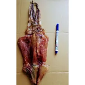 太平洋魷魚乾（ 75-95克10尾送一尾）魷魚絲 乾魷魚 魷魚切片 魷魚乾
