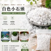 🔥台灣出貨🔥水族箱底砂 園藝石頭 多肉介質 珍珠石 白色鵝卵石 白米石 小石頭 植栽裝飾