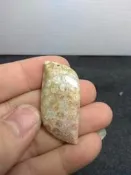 珊瑚玉-菊花玉墜子