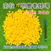 小顆粒台灣蜂蠟.蜜蠟.食用級.純天然.無雜質.明豐養蜂場.新鮮直送蜂王蠟