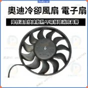 AUDI 奧迪 A4 A5 A6 Q5 冷卻風扇 電子扇 引擎水箱散熱器 電子風扇冷卻風扇 電子扇冷氣風扇