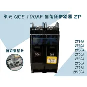 【尚水】東元 QCE 100AF 無熔絲斷路器 無熔絲開關 2P 15A - 100A