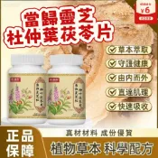 善維濰森當歸靈芝杜仲葉伏苓片耳鳴耳聾耳部壓片 FDSF