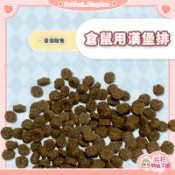 花花萌寵王國🎀 倉鼠用漢堡排 鼠用點心 倉鼠磨牙 單個販售 鼠用零食 倉鼠點心 黃金鼠 布丁鼠 熊鼠 寵物鼠零食 金絲熊