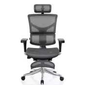 【Costco好市多】Ergoking 全功能加大網布人體工學椅附腳凳 171-Pro Plus系列 Ergoking Pro Mesh Chair with Ottoman 171-Pro Plus