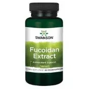 【天然小舖】Swanson Fucoidan 強力褐藻糖膠 500mg 60顆