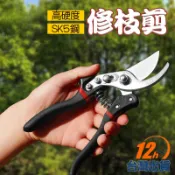 【台灣12h出貨】園藝剪刀 修枝剪 粗枝剪刀 剪定鋏 花剪 高枝剪 檳榔剪刀 採果剪 農用剪 安全鎖扣設計 現貨 發票