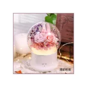 (店+)永生花薰香機 水氧機 小夜燈功能（2色可挑）g2353