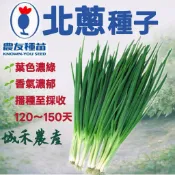 城禾農產🍃 農友北蔥種子 11克約3150粒 北蔥種子 蔥種子 北蔥種子 蔥的種子 蔥仔子 蔥仔籽 蔥籽 農友蔥種子