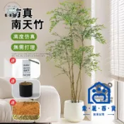 蒙麗百貨 免運 可開發票 公司貨 【仿真南天竹 宅配免運】仿真植物 室內大型仿生綠植擺件 客廳裝飾樹 落地盆栽 高端輕奢客廳假植物 仿真大型盆栽工廠現貨直銷 可大量採購 店長新品推薦 m6M8261
