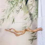 🔥臺中出貨🔥鳥籠站棍 鳥用磨爪站棒 鳥類休息站棒 實木站棍 原木站杆鸚鵡八哥鳥籠固定棍木虎皮玄風站杆杜鵑根鳥籠異形站