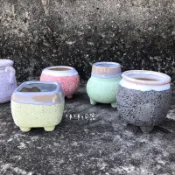 29 素燒盆 陶盆 透氣盆 盆栽 花盆 多肉 盆 盆子 多肉石頭盆 粗陶盆 陶器 陶瓷盆 水泥盆 花器 生石花 屁屁盆