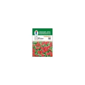 (店+)【瘋狂園藝】農友 日日春(F-095) 花卉  種子 小包裝 約30粒/包