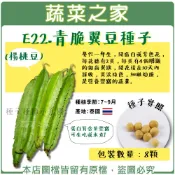 【蔬菜之家】E22.青脆翼豆種子8顆(楊桃豆)//蔓性一年生，開藍白或紫色花，每花穗有2莢，每莢有4個明顯的鋸齒