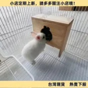 【高CP好物】兔子牧草架 牧草盒 牧草架 兔子食盆 兔飼料架 兔子食盆 兔子草架 兔子干草草架大容量木質防浪費帶蓋草盒�