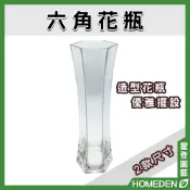 【隔日到貨】六角花瓶 25 30cm 玻璃花瓶 透明花瓶 花瓶花器 插花裝飾瓶 插花花瓶 擺件【HOMEDEN霍登園藝】