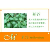 《Meilleur》荊芥、貓薄荷種子 約400粒