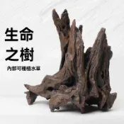 水族造景 魚缸仿真紫柚木 生命之樹 骨架沉木 樹樁造景 杜鵑根 水景 躲避屋 造景裝飾 昆蟲箱 爬蟲箱 水草缸 魚缸造景
