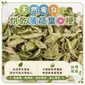 🏡龍貓安親班🏡【台灣現貨•自家種植】天然烘乾薄荷葉＋梗 草本零食 天然點心 龍貓 兔子 天竺鼠 倉鼠適用