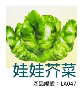 *滿1200免運*【LA047】DIY種子栽種 成就滿滿~娃娃芥菜 【園丁花圃】