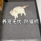 【專業客製化地毯】 入戶地墊可裁剪仿劍麻地毯大門口高級感玄關門外蹭土耐臟免洗腳墊