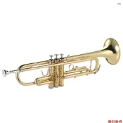 全新小號 Bb 扁黃銅鍍金精美耐用樂器帶吹嘴手套帶盒