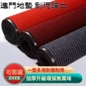 客製化 入戶門地墊 廚房防滑地墊 墊子 地墊 腳墊 腳踏墊 衛生間地墊 防油吸水地墊 門墊 玄關地毯 進門腳墊 地毯