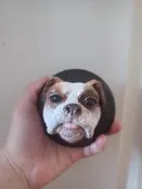 鬥牛犬 沙皮狗 bulldog 仿真裝飾雕像全新