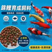 錦鯉育成飼料 （福壽錦鯉、高夠力、金魚、慈鯛、花羅漢、公園飼料、鰻魚、水產飼料、魚菜共生、吳郭魚可參考）
