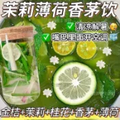 茉莉薄荷香茅飲 茉莉 桂花 香茅 金桔 薄荷葉 組合茶 涼茶 花草茶 口氣芬芳 泡茶 泡水 三角茶包 家中常備 养生茶