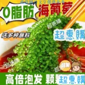 🔥超惠購📢超值促銷🔥鹽漬海葡萄 100g/袋 新鮮卽食海藻 海菜海帶裙帶菜