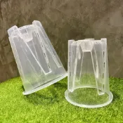(店+)《斑啾植選》內建空氣柱透明高腳盆｜10cm(控根盆｜觀葉專用盆｜蘭花盆｜觀葉植物｜雨林｜白龜｜斑葉｜龜背芋｜室內植物｜盆栽)