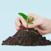 (店+)【綠色山嵐】MK泥炭土(原廠小包裝) 蔬果種植土 透氣種植土 育苗土 培養土 種花土 泥炭土 Mikskaar mk