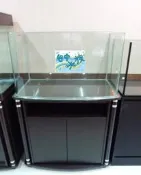 [ 台中水族] DQC880 3尺開放缸-91*51*51(10mm)+開放架    訂製特價