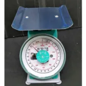 現貨! 建中 1公斤 磅秤 檢驗合格 1000g 自動秤 指針型磅秤 料理秤 傳統磅秤 彈簧秤 25台兩 夜市 市場
