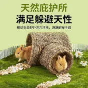 🔥48H出貨 【草編隧道】草編 草窩 兔窩 草墊 兔子窩 兔子玩具 牧草窩 兔子磨牙 龍貓 天竺鼠 兔子躲避隧道玩具