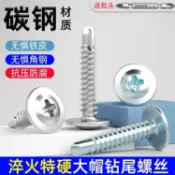 鑽尾螺絲 自攻螺絲 華司大扁頭 碳鋼特硬 鐵板牙螺絲 鑽兼鎖 鐵皮屋 彩鋼瓦 螺絲釘 鑽頭 螺帽 墊片 裝潢 五金工具
