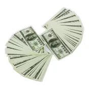【金發財金紙】冥國美金 5入組-面額100x 500張(金紙-冥界財富系列)