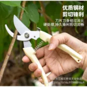 🔥優選熱賣🔥不銹鋼園林修枝剪 摘果剪 園藝多功能果枝剪 花園剪刀 戶外盤景花藝剪 不鏽鋼園藝剪刀 檳榔剪刀 樹枝剪 花剪
