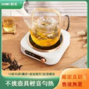 風鈴草百貨 110V小型電陶爐家用煮茶爐迷你不挑鍋玻璃煮茶器燒水套裝