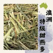 ｜法尼爾｜未過篩牧草 現貨 甜燕麥 苜蓿 甜小麥 牧草 兔子 苜蓿草 兔子草 天竺鼠 龍貓 陸龜 乾草 底材