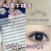 6/9✈️夢朵公主 四大美人 昭君自粘懶人假睫毛自然仿真單簇分段式下睫毛