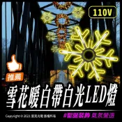 宸亮光電 雪花暖白帶白光LED燈｜聖誕燈｜造型燈飾｜雪花｜插頭｜110V｜