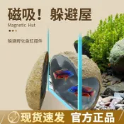 免運🔥寄居蟹專用沙天然墊材珊瑚沙菲律賓沙原生貝殼砂三湖慈鯛底砂魚缸造景高鈣潔淨爬寵飼養底沙無雜質