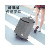 (店+)📣工廠直銷 可伸縮鋁合金便攜折疊保鮮購物買菜車拖車輕便拉桿保溫袋小推車